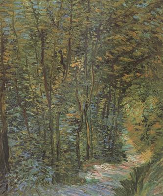 Vincent Van Gogh Path in the Woods (nn04) Sweden oil painting art